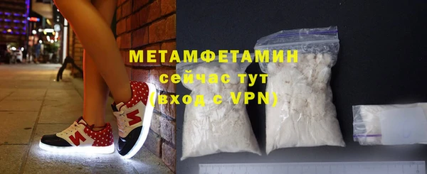 прущие грибы Вяземский