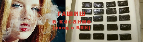 прущие грибы Вяземский