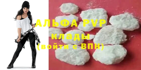 прущие грибы Вяземский