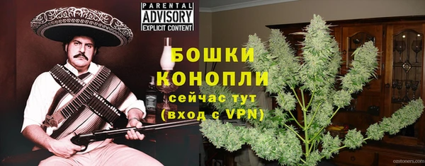 прущие грибы Вяземский